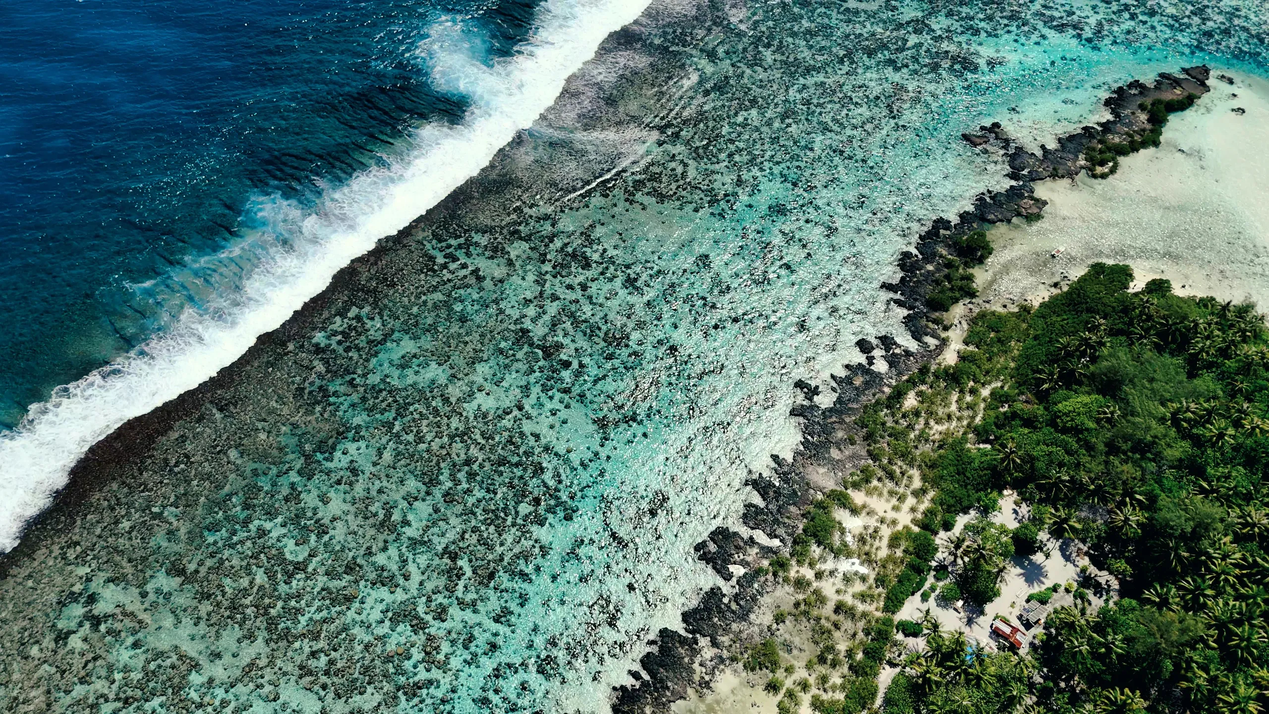 Oro Paraoa Le Film 01 00 01 16 2 copy