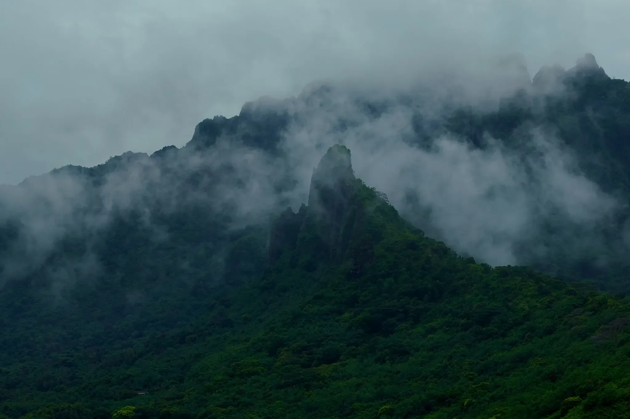 Oro Paraoa Le Film 01 00 59 00 2