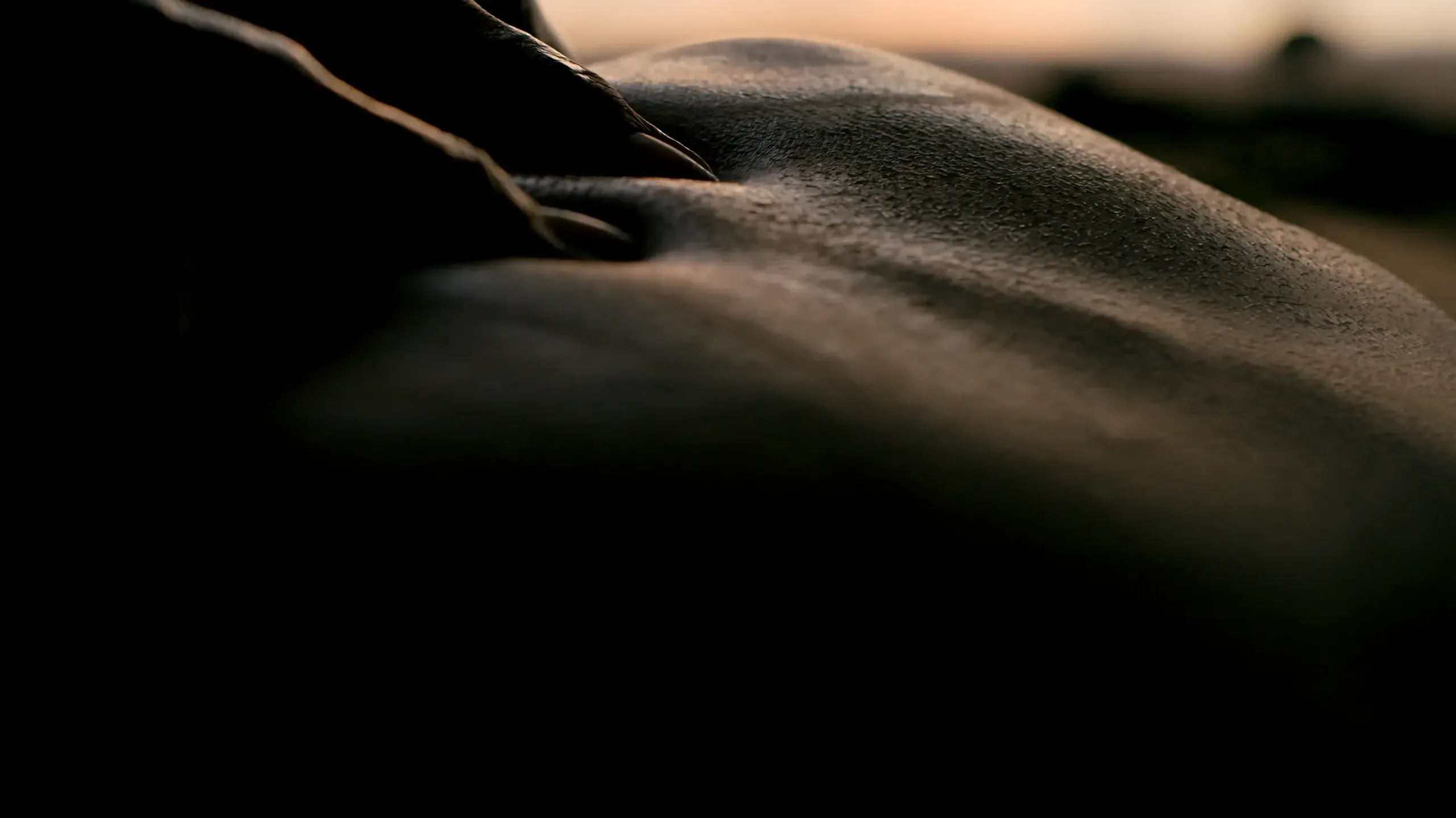 Oro Paraoa Le Film 01 01 54 04 2