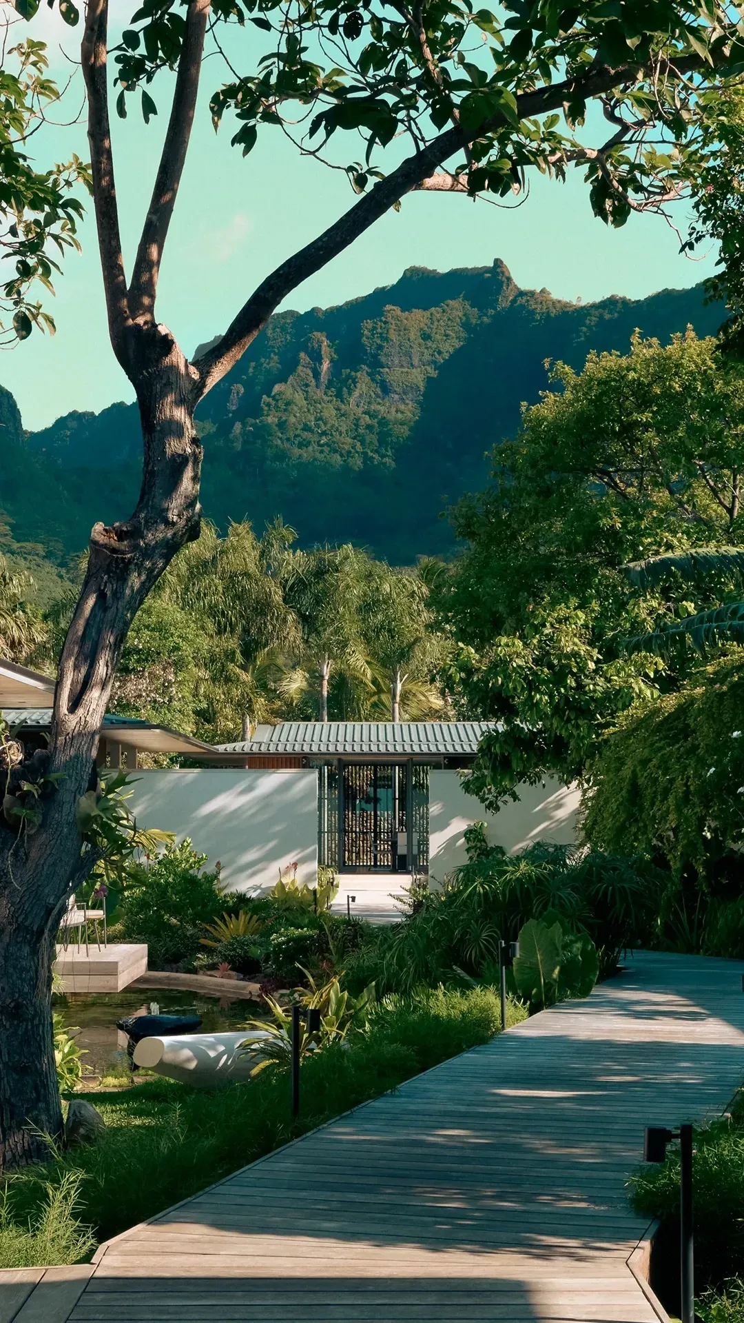 Oro Paraoa SPA Studio 01 Guy Montagu Pollock mobile header