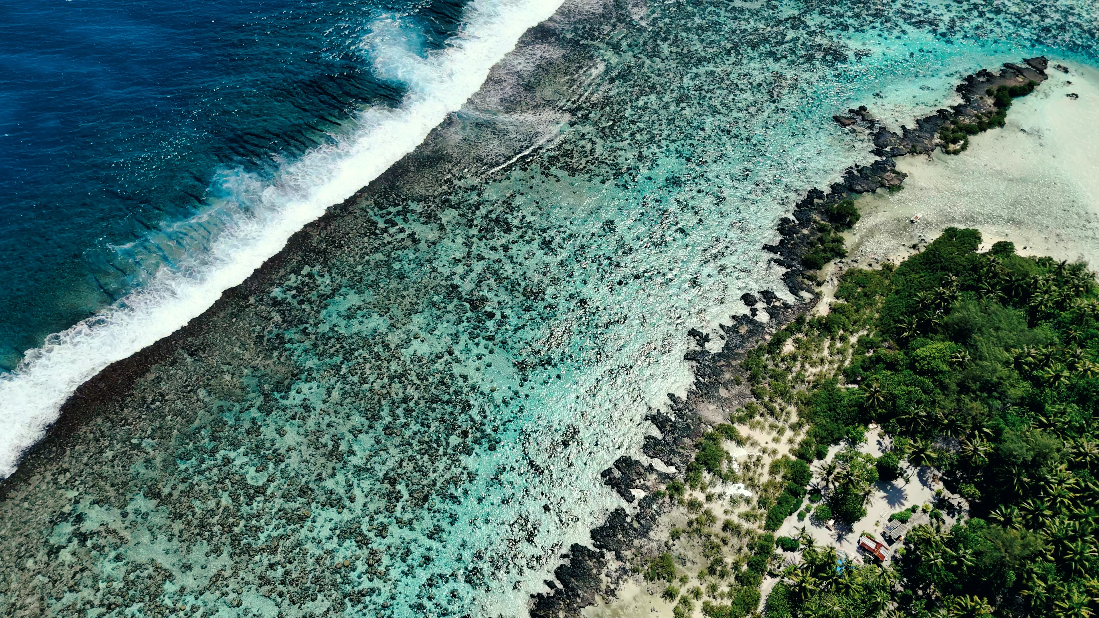 Oro Paraoa Le Film 01 00 01 16 2 copy