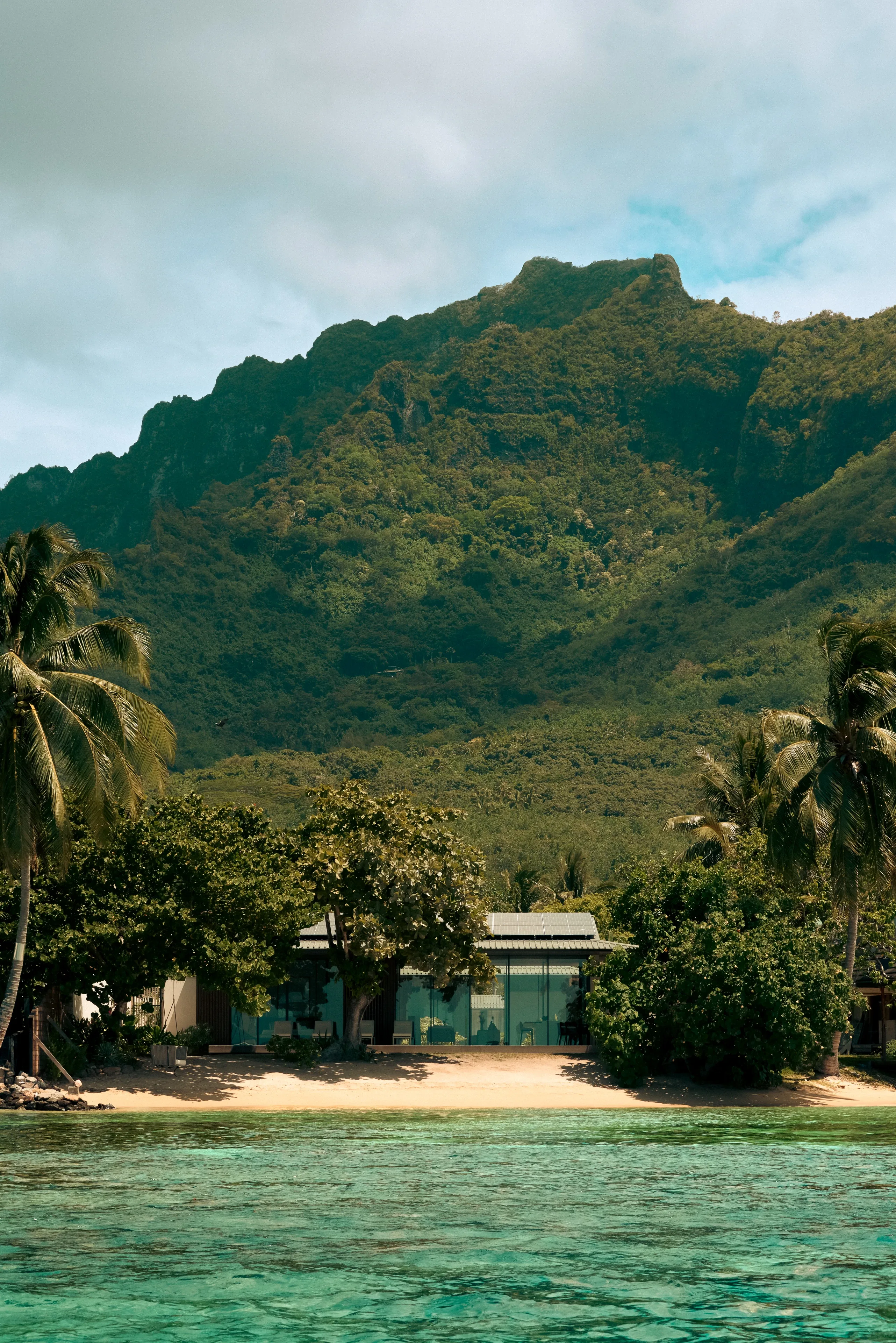 Oro Paraoa EXP Beach 01 Guy Montagu Pollock