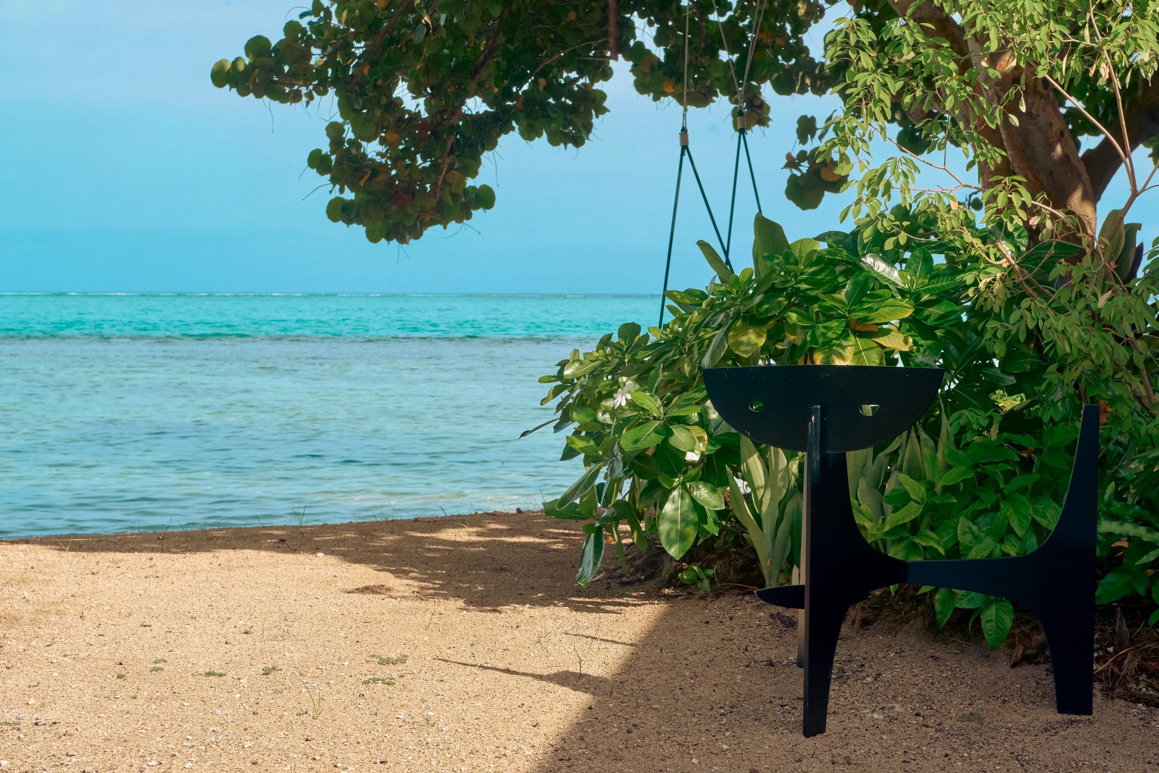 Oro Paraoa EXP Beach 06 Guy Montagu Pollock